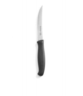 Nož inox za  paradižnik s  plastičnim ročajem 110 mm