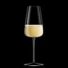 Kelih za peneče vino Luigi Bormioli I Meravigliosi Champagne/Prosecco, 40 cl