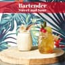 Kozarec Bartender sour 45cl