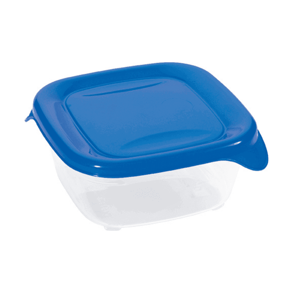 Posodica za shr.hrane Fresh&go 0.25l, transparent-temno modra