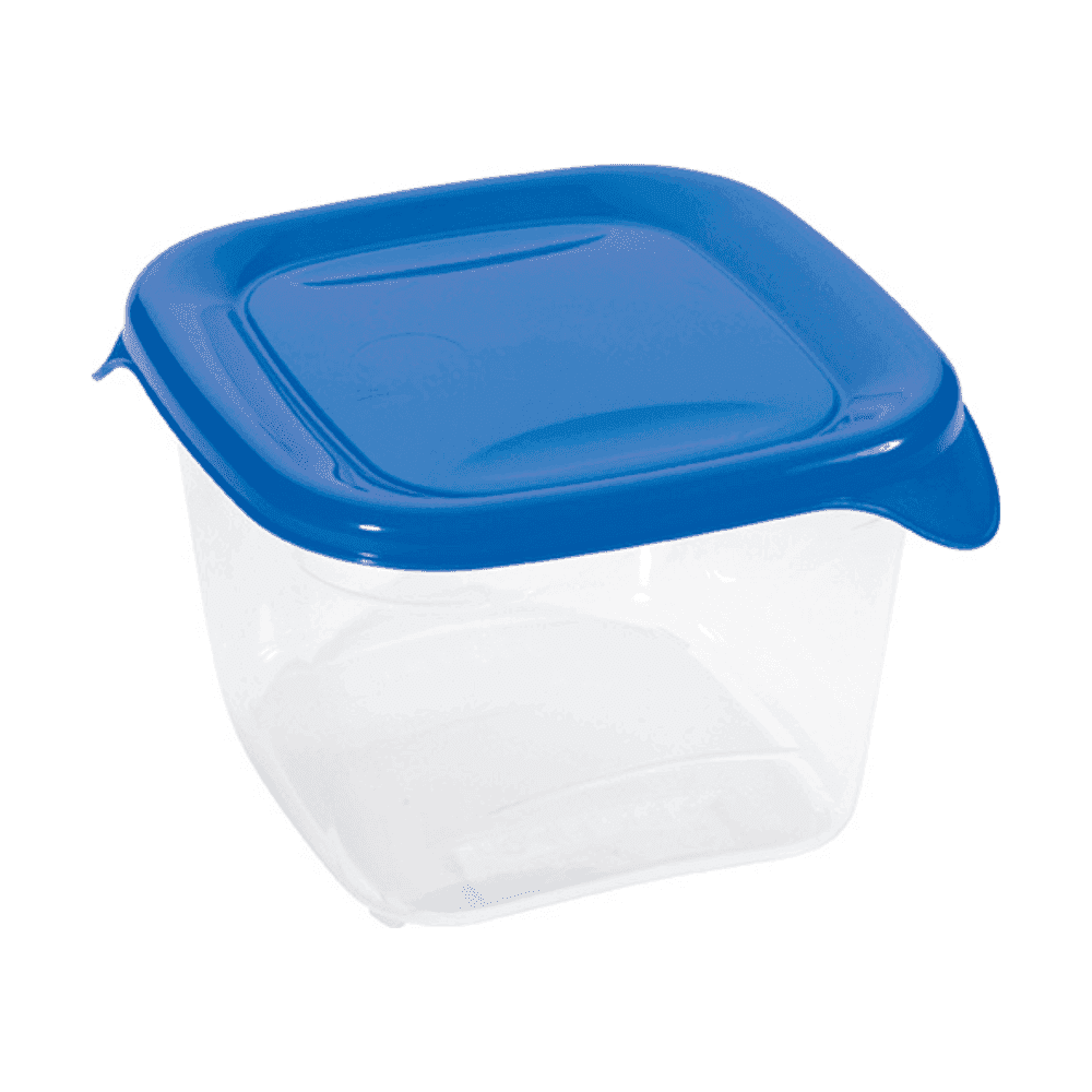 Posoda za shranjevanje hrane Fresh & Go 1,2 l, transparentna/temno modra