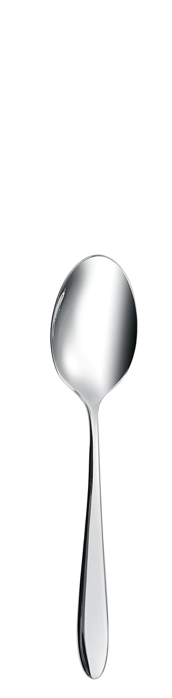 Wales žlička za čaj 18/10 dolžina 14 cm